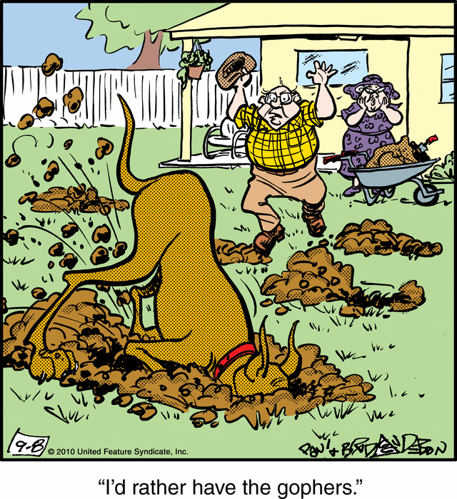marmaduke